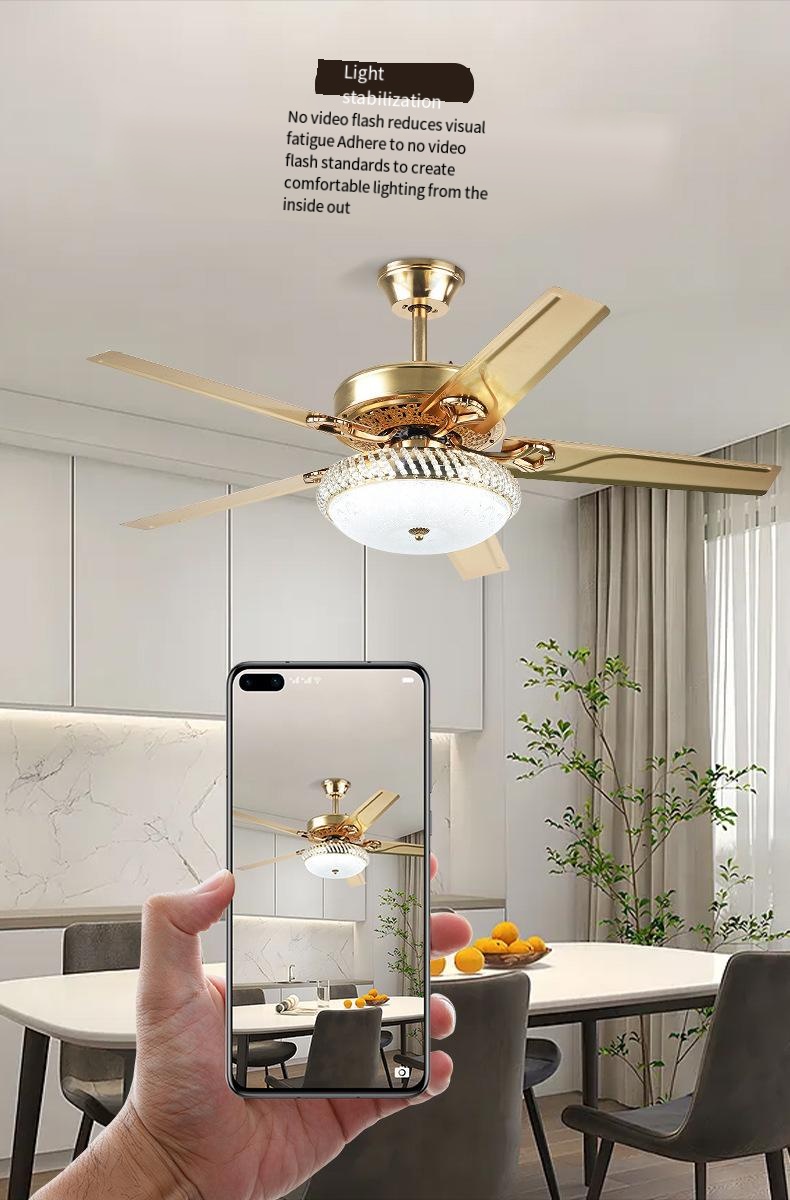 New dining room fan light living room bedroom variable frequency light Home fan lamp